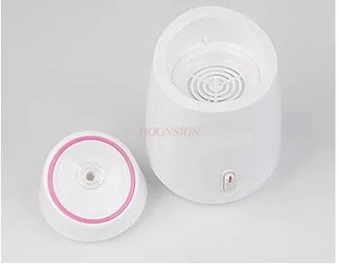 face purifying steamer