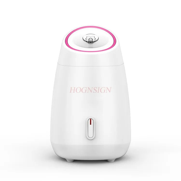 face purifying steamer