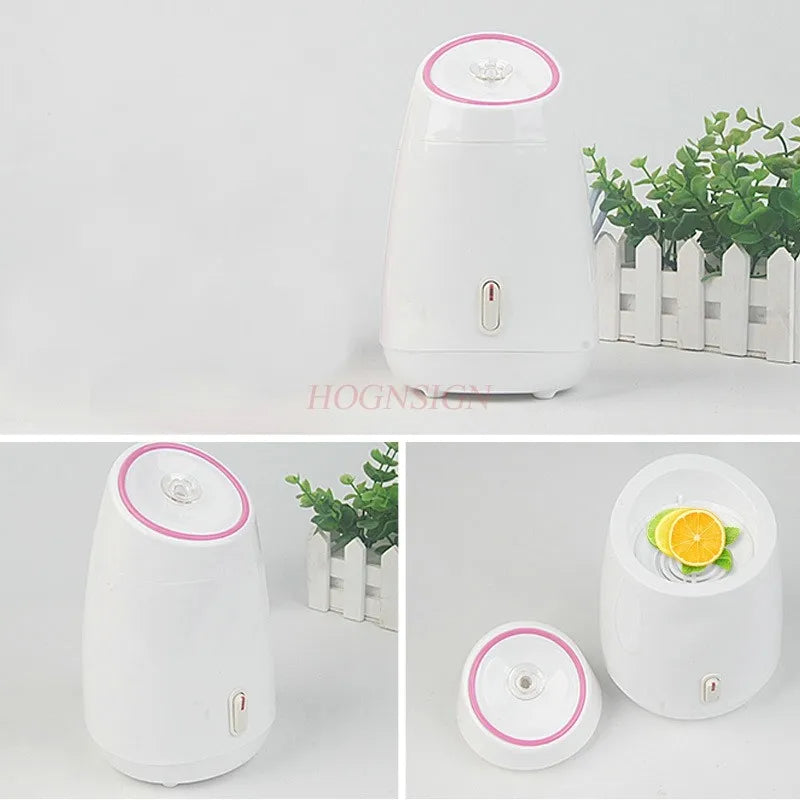 face purifying steamer