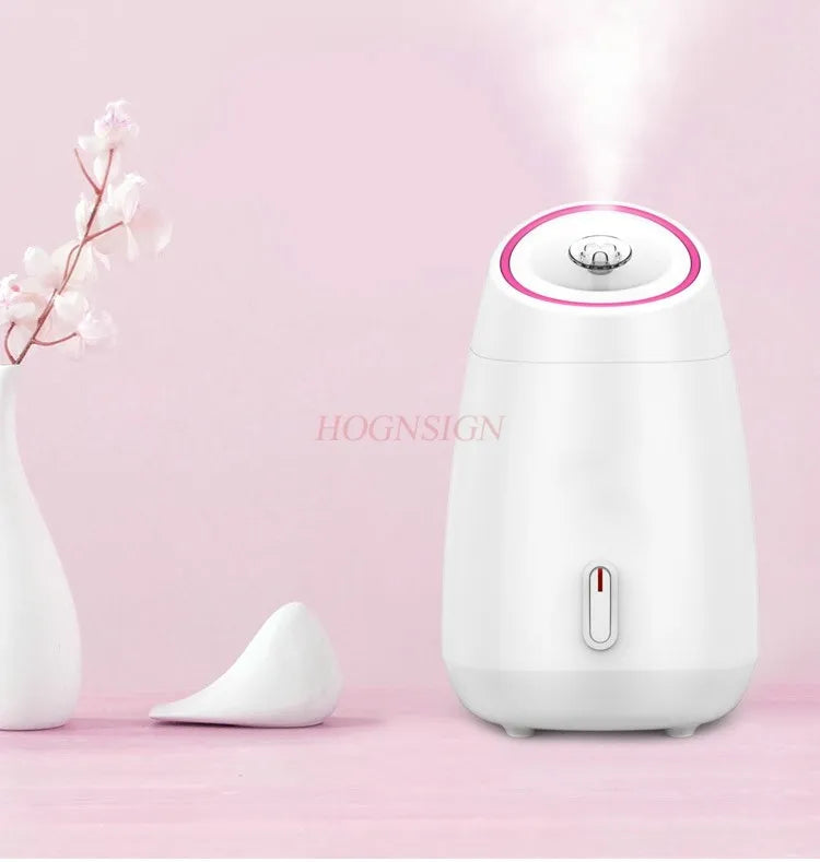 face purifying steamer